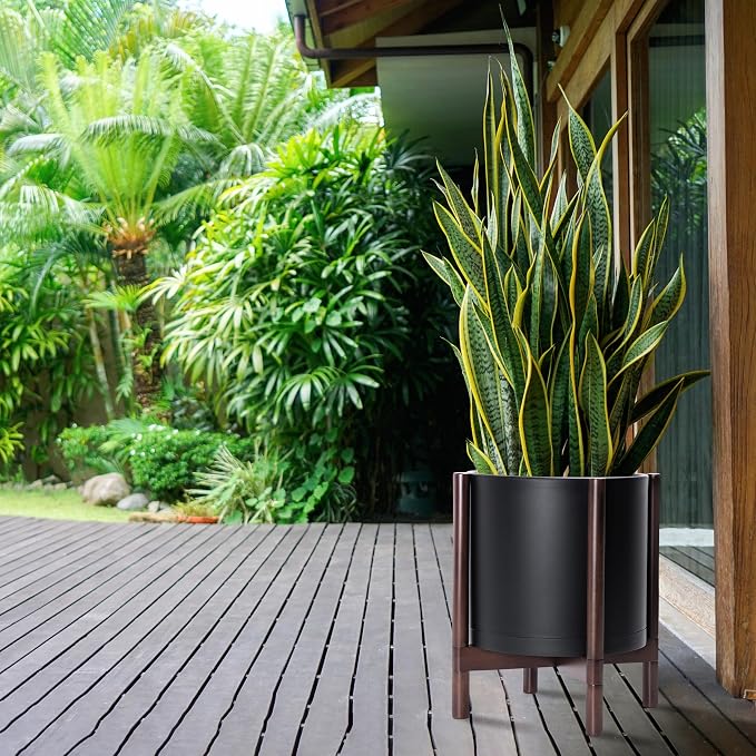 D'vine Dev Plastic Pot with Walnut Wood Stand, Black, 14 in, 55-C-R-2 | Mid-Century Inspired Design, Elevated Plant Display, Clean Lines, Sturdy Support, Modern Space-Saving Style