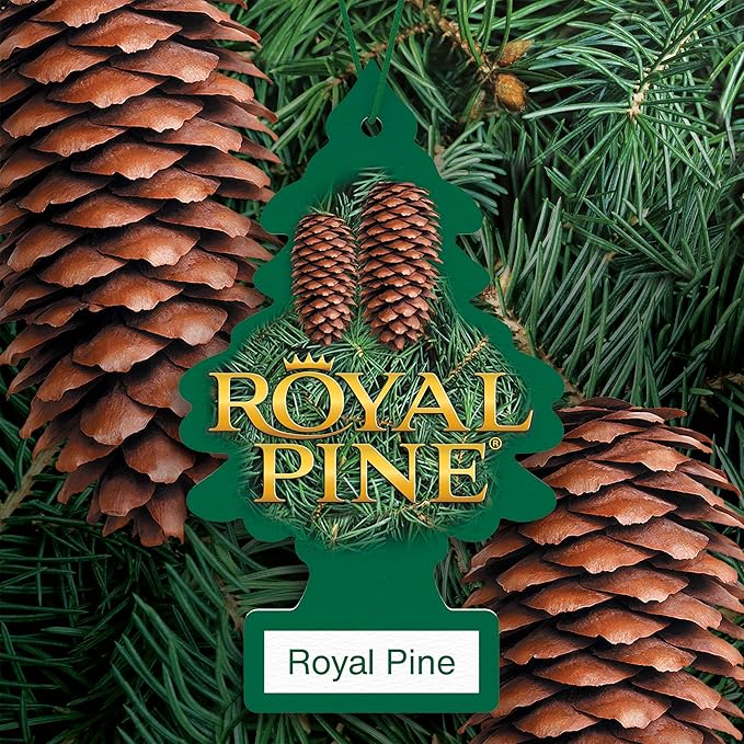LITTLE TREES Car Air Freshener | Hanging Tree Provides Long Lasting Scent for Auto and Home | Royal Pine, 24 Air Fresheners