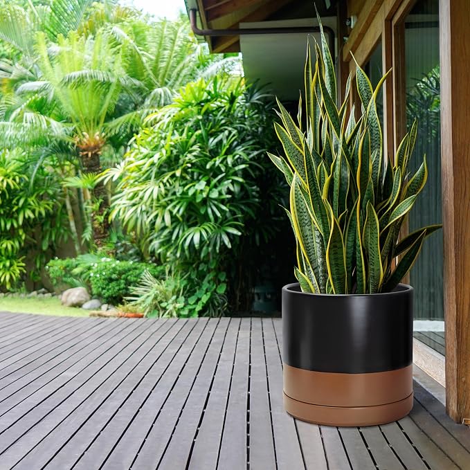 D'vine Dev 14 Inch Ceramic Planter Pot with Drainage Hole and Saucer, Indoor Cylinder Round Planter Pot, Black/Speckled Tan, 94-O-G-7