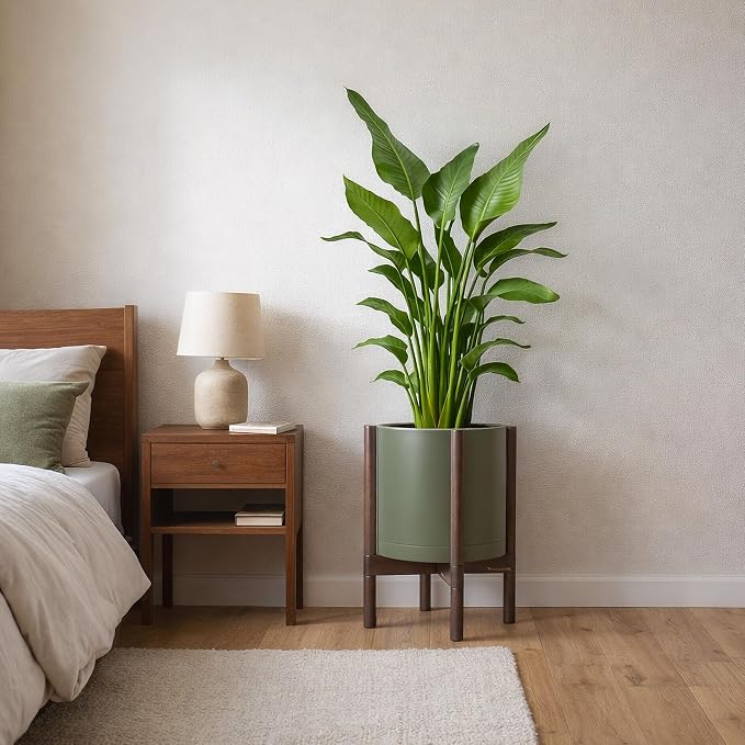 D'vine Dev Plastic Pot with Walnut Wood Stand, Olive, 12 in, 55-C-O-3 | Mid-Century Inspired Design, Elevated Plant Display, Clean Lines, Sturdy Support, Modern Space-Saving Style
