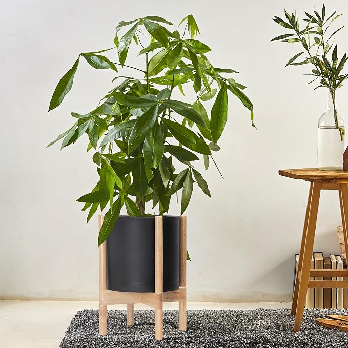 D'vine Dev Plastic Pot with Natural Wood Stand, Black, 10 in, 55-C-M-2 | Mid-Century Inspired Design, Elevated Plant Display, Clean Lines, Sturdy Support, Modern Space-Saving Style
