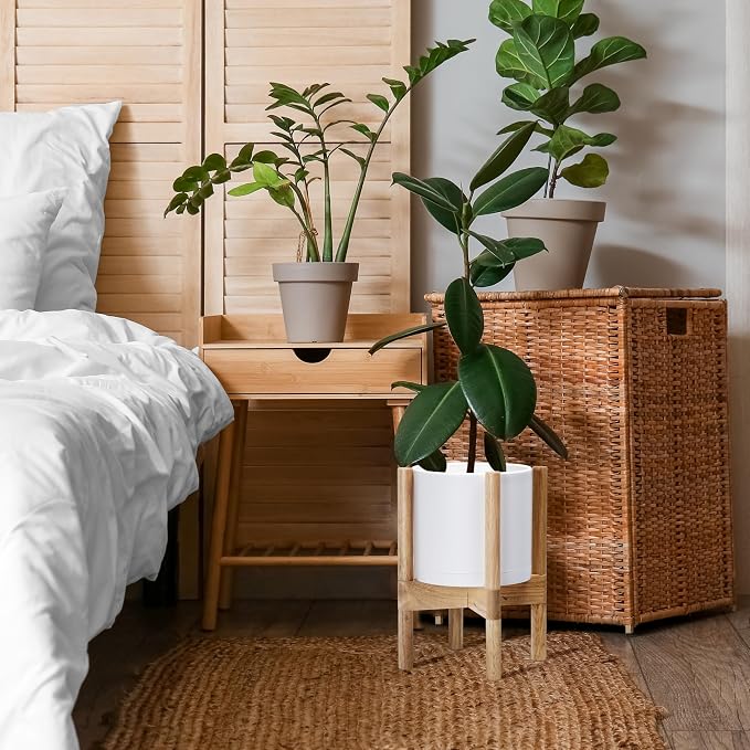 D'vine Dev Plastic Pot with Natural Wood Stand, White, 8 in, 55-C-J-1 | Mid-Century Inspired Design, Elevated Plant Display, Clean Lines, Sturdy Support, Modern Space-Saving Style