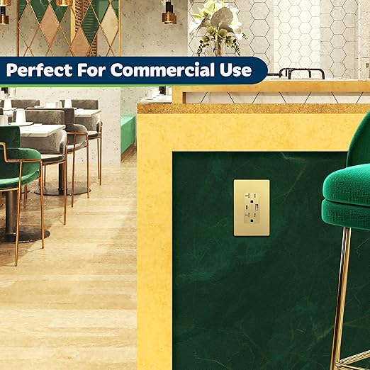 TOPGREENER 2-Port USB Outlet, Type C USB Wall Charger Outlet, 20 Amp TR Receptacle Plug, Charging Power Outlet with USB Ports, Wall Plate Included, UL Listed,TU22036AC-GDWSI-2PCS, Gold, 2Pack