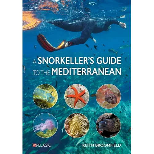 A Snorkeller's Guide to the Mediterranean: A Photographic Id Guide to the Most Commonly Encountered Marine Species - Paperback