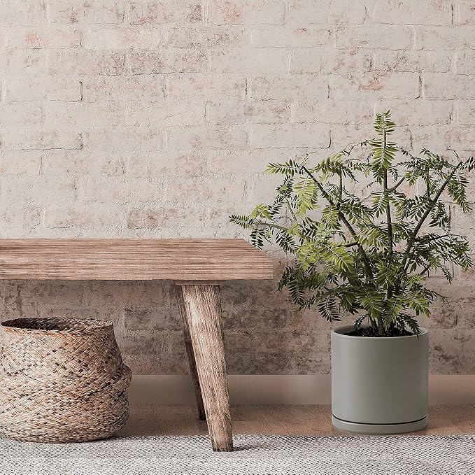 D'vine Dev 8 Inch Ceramic Planter Pot, Grey, 94-O-D-3 | Modern Cylinder Design, Drainage Hole & Saucer Included, Stable Structure, Elegant Home Accent