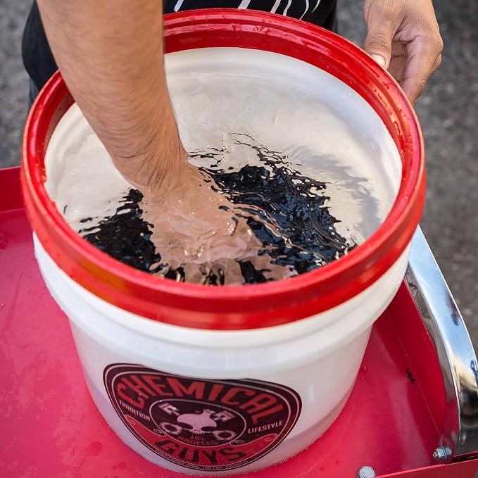 Chemical Guys Cyclone Dirt Trap Car Wash Bucket Insert - Filter Removes Dirt and Debris While You Wash, Helps Prevent Scratches, Perfect for Cars, Trucks, SUVs, RVs, and Motorcycles - 12 inch, Black