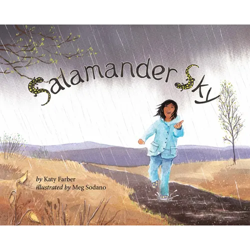 Salamander Sky - Hardcover