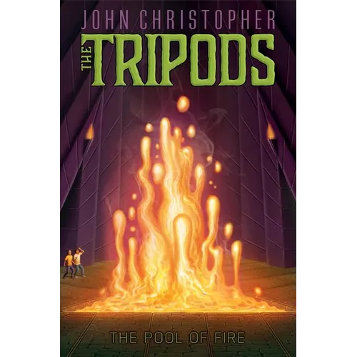 The Pool of Fire - Paperback