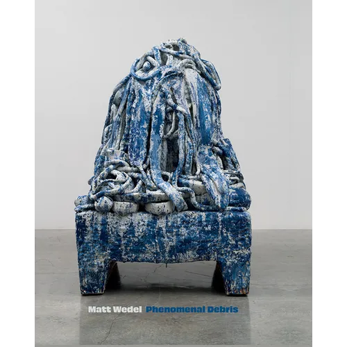Matt Wedel: Phenomenal Debris - Hardcover
