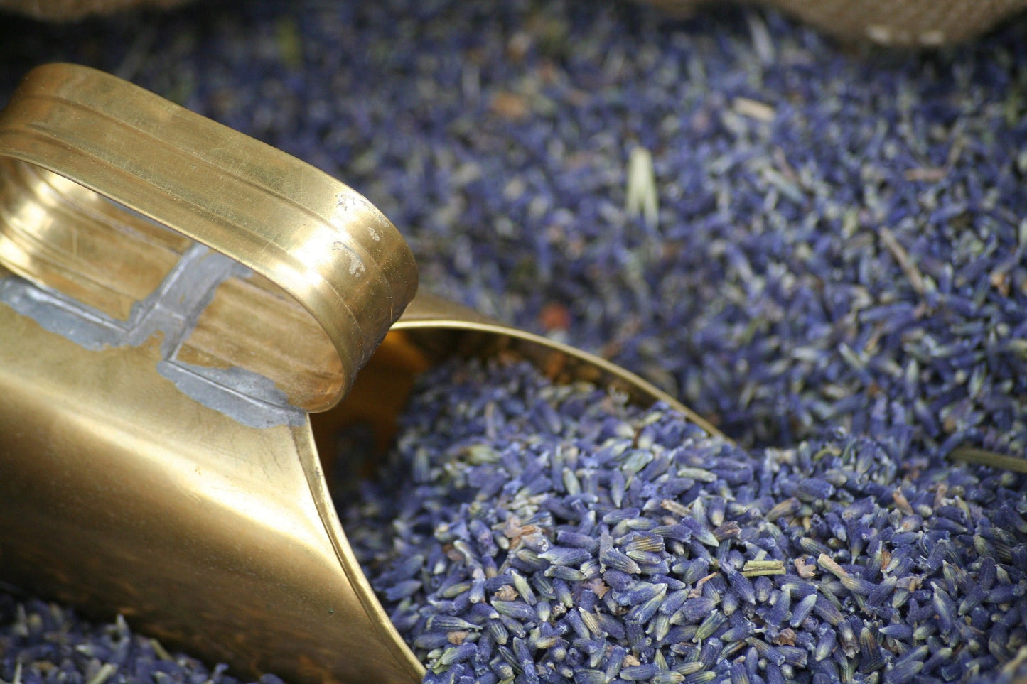Lavender Flowers Whole Aromatherapy Calming Scent For Relaxation