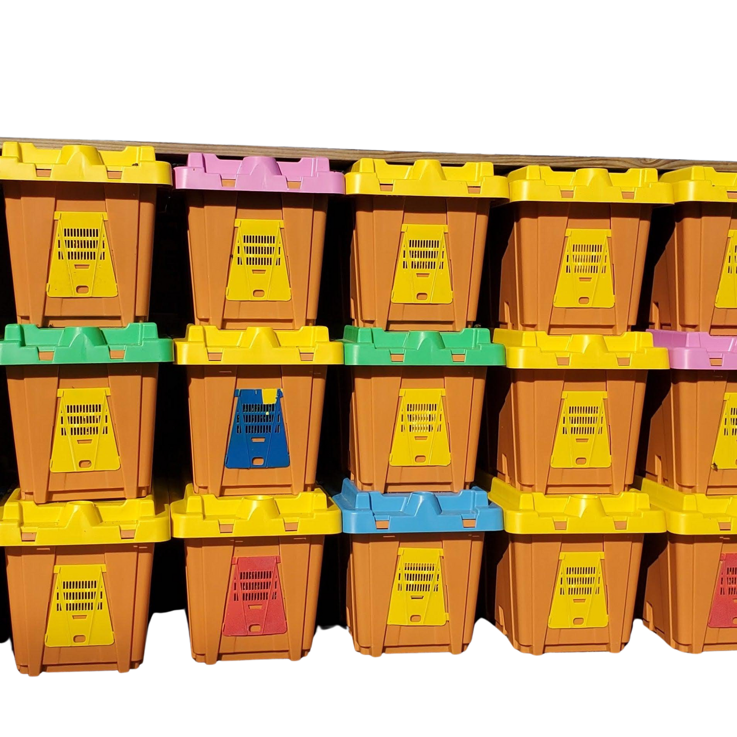 Pro-Nuc - 5 Frame Deep, Plastic Nucleus Hive
