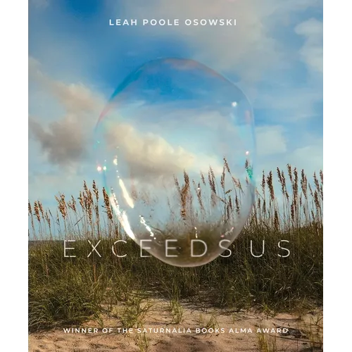 Exceeds Us - Paperback