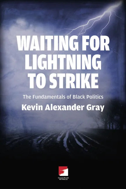 Waiting for Lightning to Strike: The Fundamentals of Black Politics - Paperback