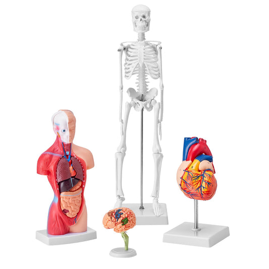 2472820b3dbbb402e2f1f25ed888922e