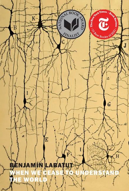 When We Cease to Understand the World - Paperback