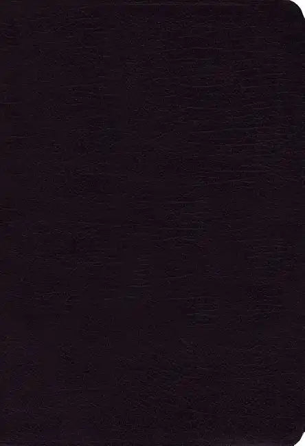 Side-By-Side Bible-PR-NIV/MS-Large Print: Two Bible Versions Together for Study and Comparison - Bonded Leather