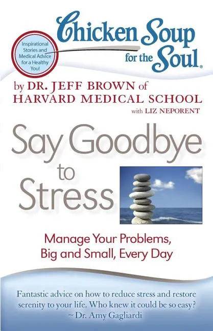 Chicken Soup for the Soul: Say Goodbye to Stress: Manage Your Problems, Big and Small, Every Day - Paperback