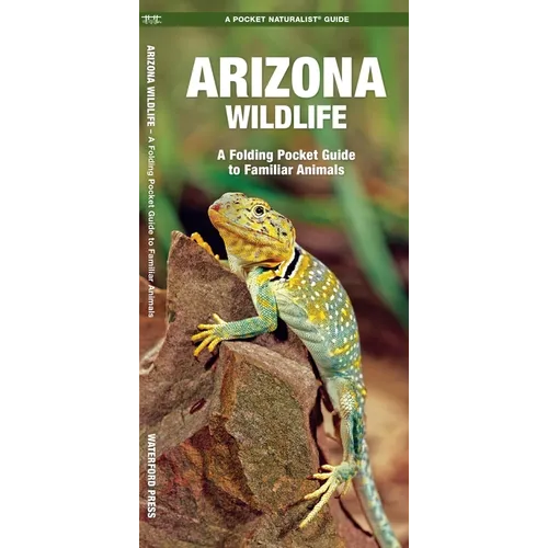 Arizona Wildlife: A Folding Pocket Guide to Familiar Animals