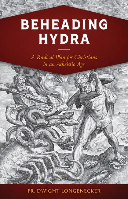 Beheading Hydra: A Radical Plan for Christians in an Atheistic Age - Paperback