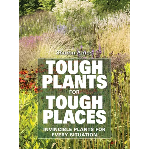 Tough Plants for Tough Places: Invincible Plants for Every Situation - Paperback