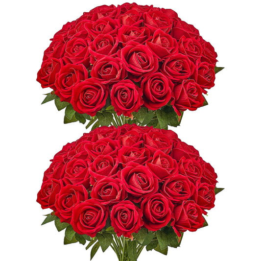 fd017ea37c2e73c9add34d9c6be950ed