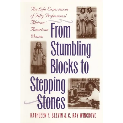 From Stumbling Blocks to Stepping Stones: The Life Experiences of Fifty Professional African American Women - Paperback