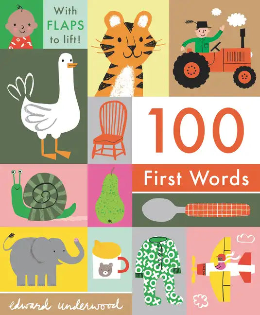 100 First Words: With Flaps to Lift - Board Book