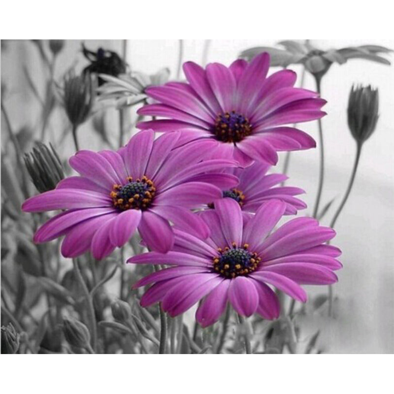 f4f840ab4b0591b192d02ff663bb - 홈테코