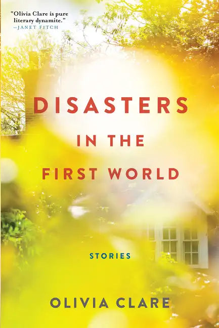 Disasters in the First World: Stories - Paperback