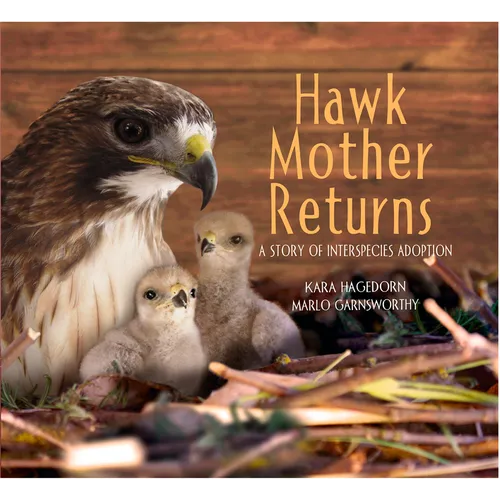 Hawk Mother Returns: A Story of Interspecies Adoption - Hardcover