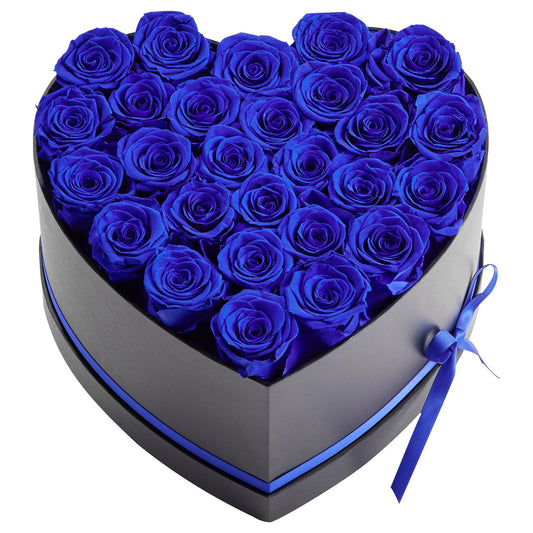6b85a99e03a4fd21a14cf8d8edd8204f