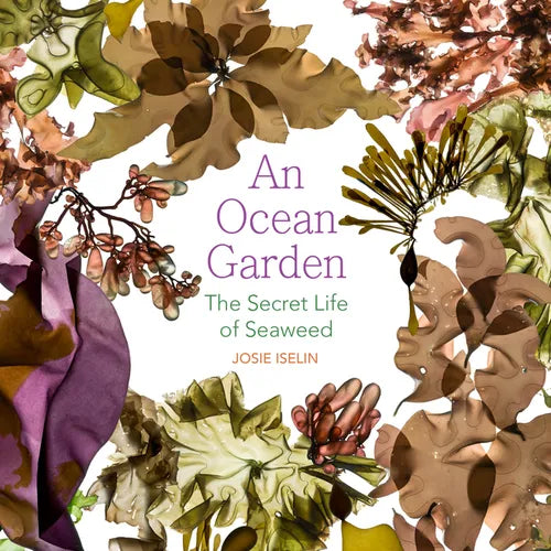 An Ocean Garden: The Secret Life of Seaweed - Paperback