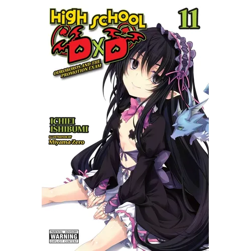 High School DXD, Vol. 11 (Light Novel): Ouroboros and the Promotion Exam - Paperback