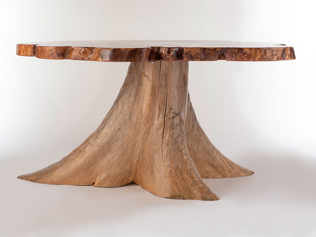 Silver Maple w/ Northern White Cedar Stump