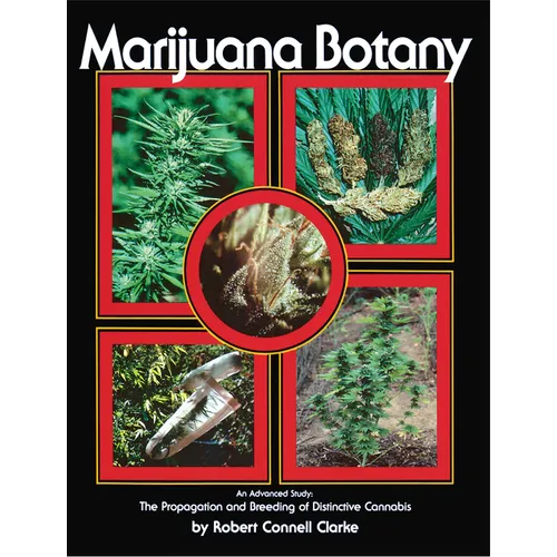 Marijuana Botany: An Advanced Study: The Propagation and Breeding of Distinctive Cannabis - Paperback
